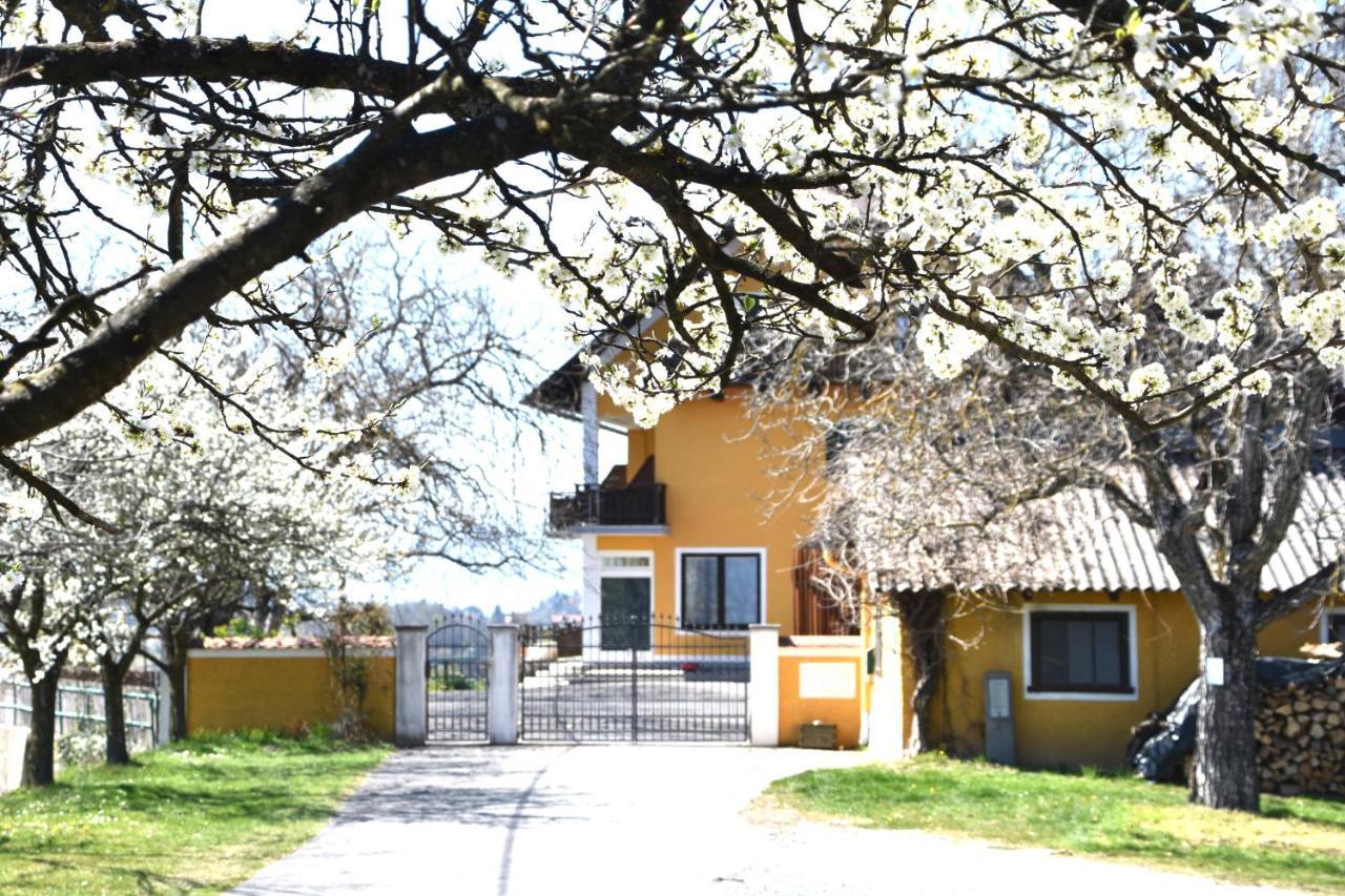 Studio & Ferienwohnung Temmel Kitzeck im Sausal Zewnętrze zdjęcie
